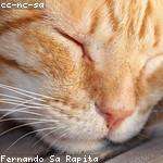 Bernice Crist Profile Picture