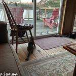 Laurel Nitzsche Profile Picture